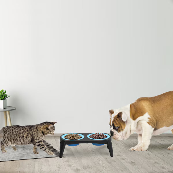 Comedero elevado para mascotas de color azul con base antideslizante