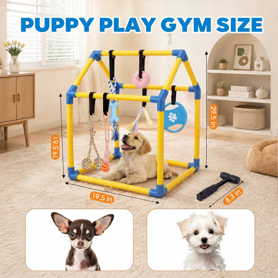 Gimnasio de Juego para Cachorros Pequeños, Centro de Actividad Interactivo de Interior de PVC con 6 Juguetes Colgantes para Morder, Correas Ajustables para Aliviar el Aburrimiento del Cachorro