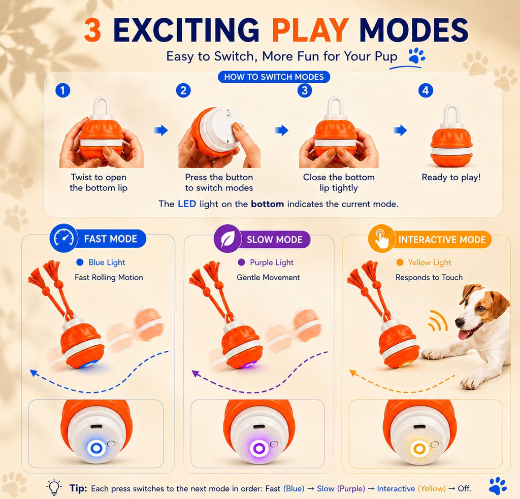 Juguete interactivo e inteligente para perros con movimiento y cuerda, color azul.