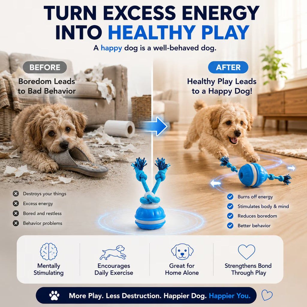 Juguete interactivo e inteligente para perros con movimiento y cuerda, color azul.