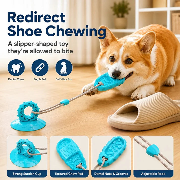 Juguete de ventosa para perros (masticar y tirar) para jugar en interiores: ayuda a redirigir el hábito de morder zapatos y a combatir el aburrimiento.
