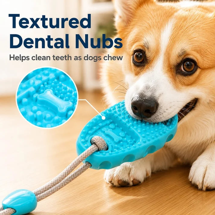 Juguete de ventosa para perros (masticar y tirar) para jugar en interiores: ayuda a redirigir el hábito de morder zapatos y a combatir el aburrimiento.
