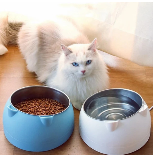 Cuenco para comida de mascotas